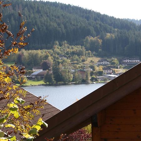 Chalet Vosgien Gérardmer Buitenkant foto