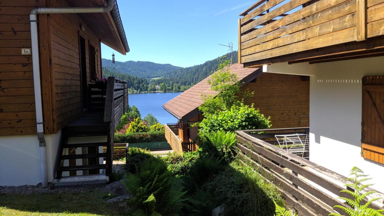 Chalet Vosgien Gérardmer Buitenkant foto